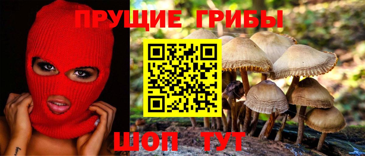 как найти   Галлюциногенные грибы мухоморы  Псилоцибиновые грибы Psilocybine cubensis  Вход с VPN  Сокол 
