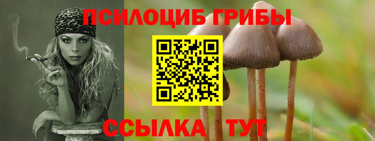 Галлюциногенные грибы Cubensis Сокол