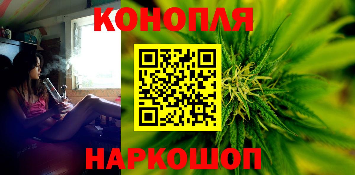 Бошки марихуана планчик Сокол